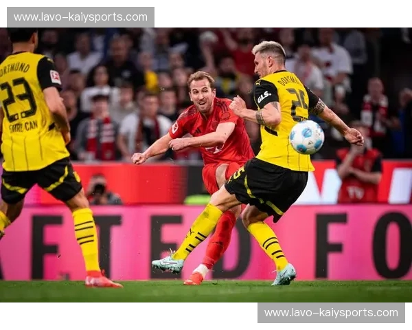 德甲16强：激情、战术与未来之星